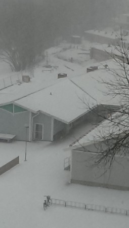 Ja se det snöar ja se det snöar:)